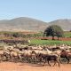 Cabo de Gata is a long way from the Costa del Sol