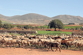 Cabo de Gata is a long way from the Costa del Sol