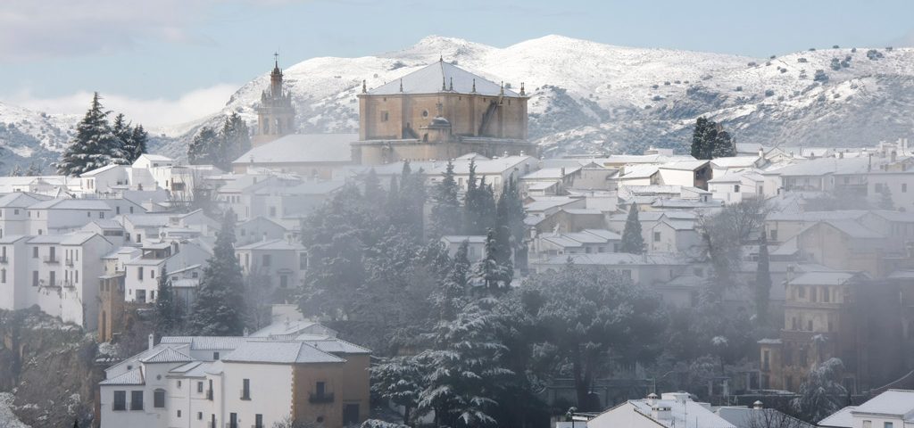 ronda snow