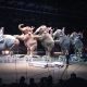 Elephants circus