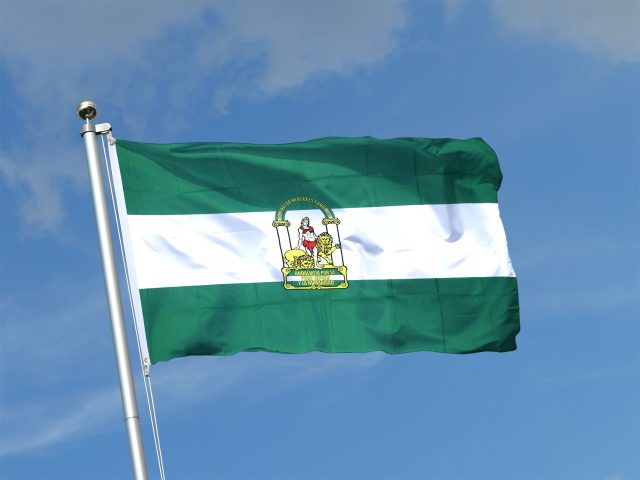 andalucia flag