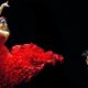 A HUGE celebration of flamenco has spun into action in Malaga