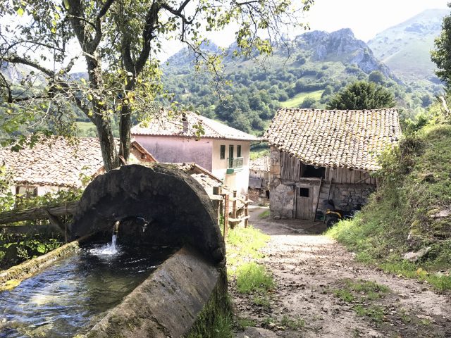 omedalasturias e