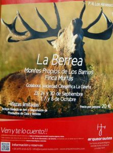 berrea2-490x663