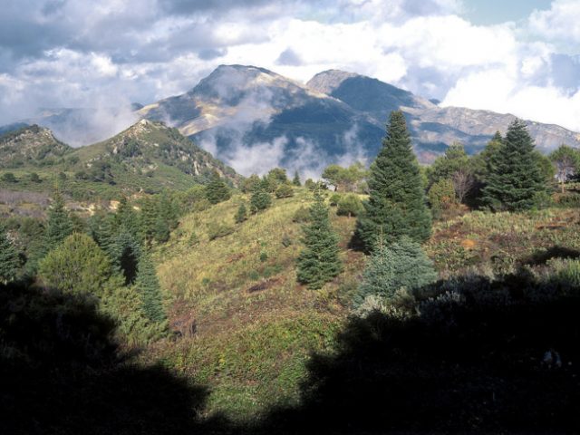 Sierra de las Nieves moves one step closer to becoming national park