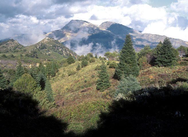 Sierra de las Nieves moves one step closer to becoming national park